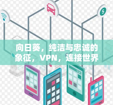 向日葵，纯洁与忠诚的象征，VPN，连接世界的新途径