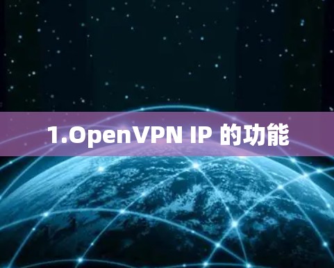 1.OpenVPN IP 的功能